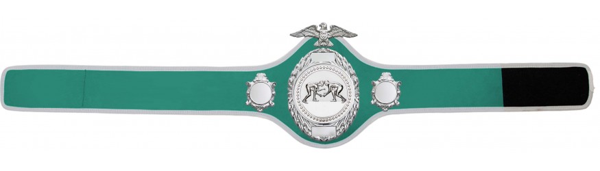 GRAPPLING CHAMPIONSHIP BELT - PRO288/S/GRAPS - 10 COLOURS